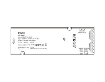 SOLAS Dual-Switched Driver